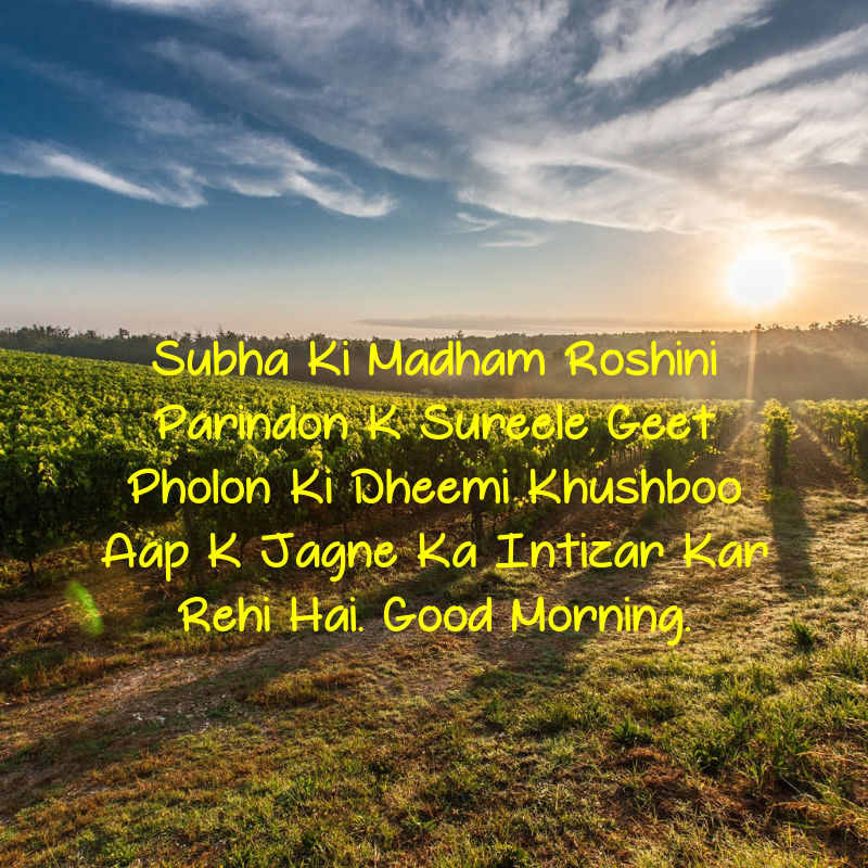 positive good morning quotes inspirational in hindi